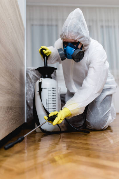 Best Fumigation Services  in Calcium, NY